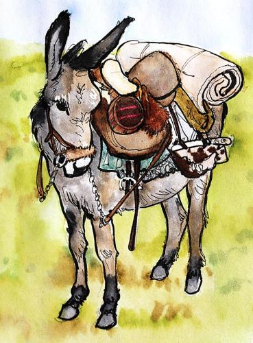 Ane-atelé_couleurs_00