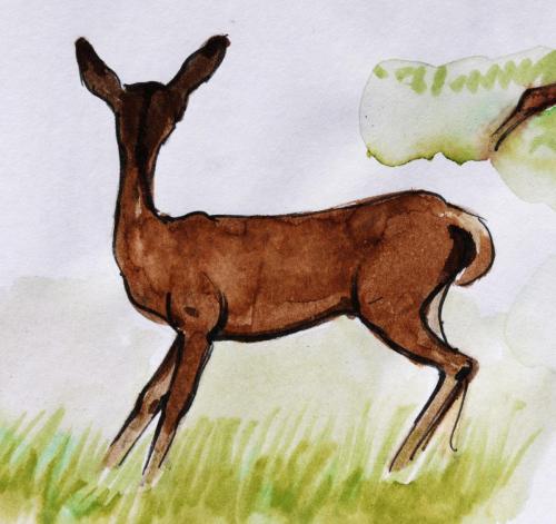 Biche-01