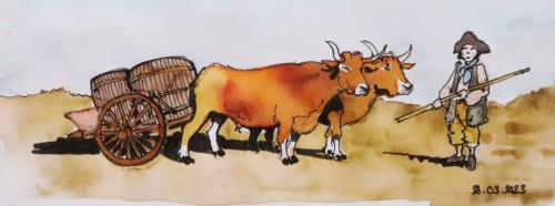 Char-a-boeuf_tonneaux