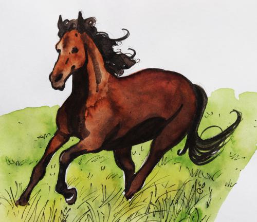 Cheval_chevauchee_02