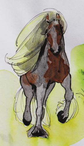 Cheval_chevauchee_03