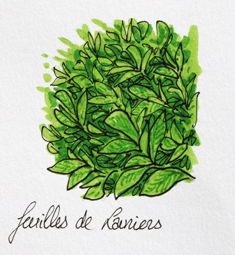 Feuilles-de-laurier