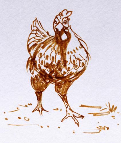 Poule-ocre_01