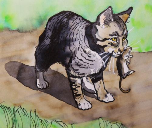 chat-souris-gueule