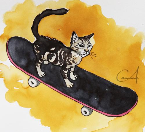 chat-tigre-sur-skateboard