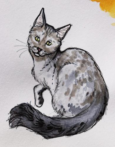 chats-tigre-gris