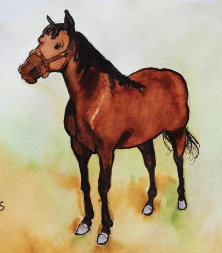 cheval-brun-roux-droit