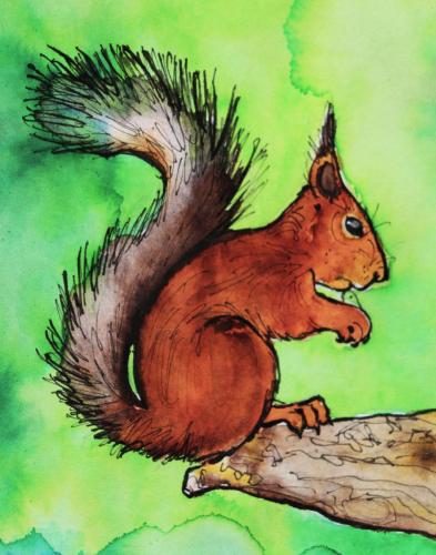 ecureuil-profile-branche