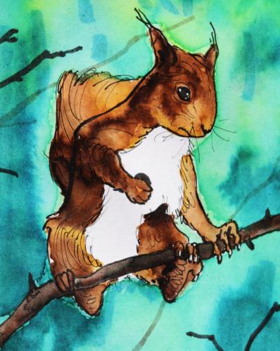 ecureuil-sur-brindille
