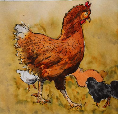 poule-et-ses poussins